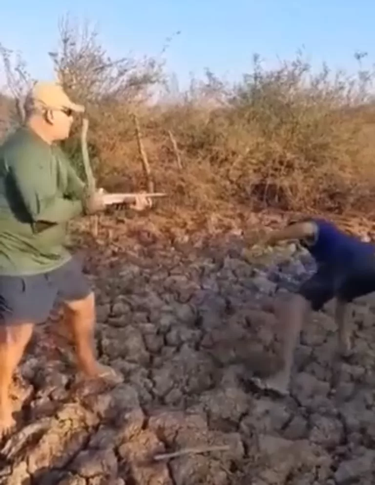 Screenshot_20231013-091756_WhatsApp~2