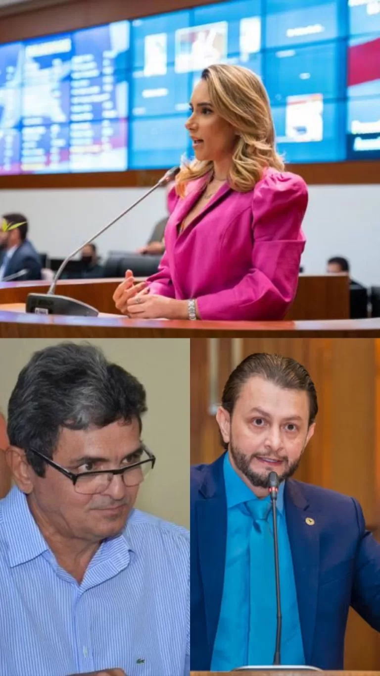 051c3c91-cd1a-4b6e-9b71-869f9f38ac3b